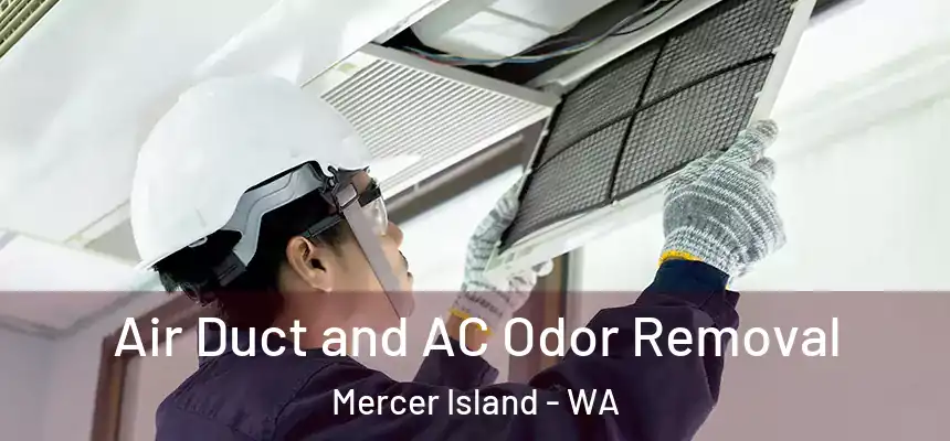 Air Duct and AC Odor Removal Mercer Island - WA
