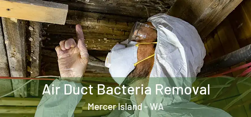 Air Duct Bacteria Removal Mercer Island - WA