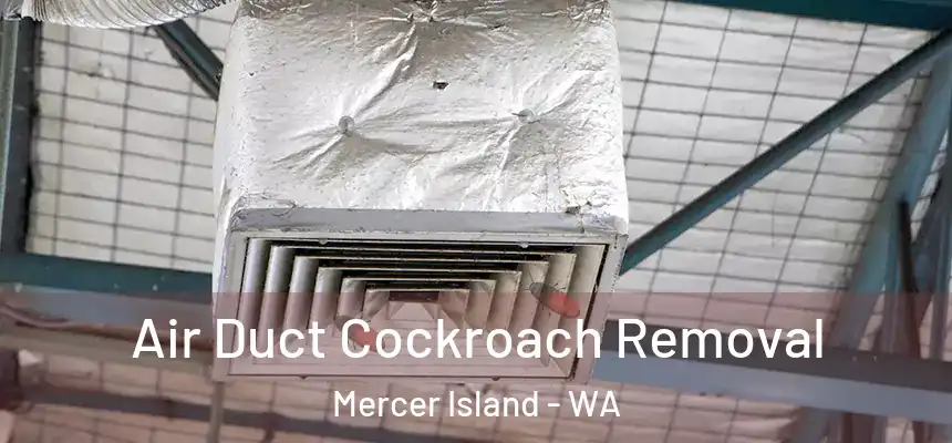Air Duct Cockroach Removal Mercer Island - WA