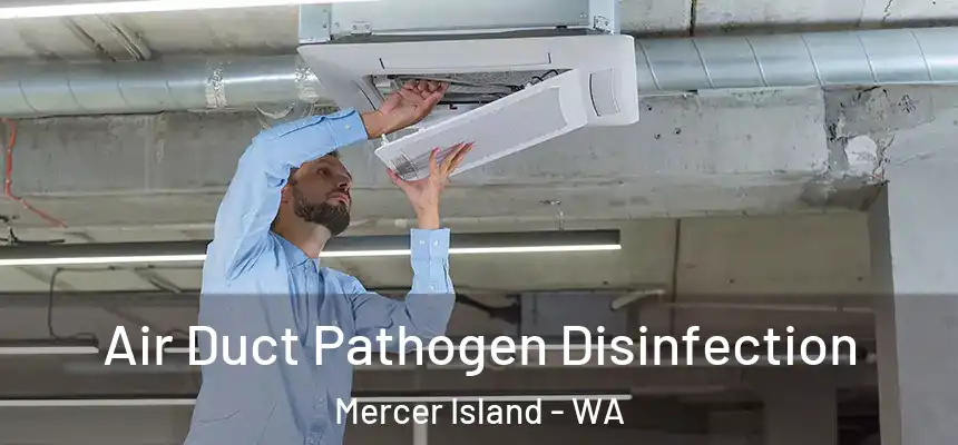 Air Duct Pathogen Disinfection Mercer Island - WA