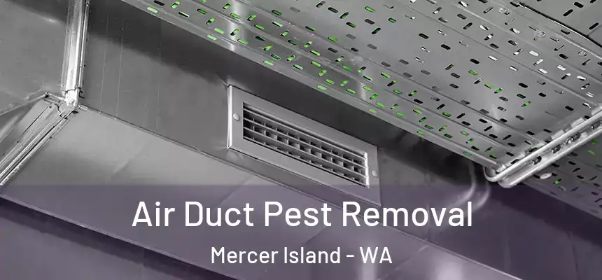  Air Duct Pest Removal Mercer Island - WA