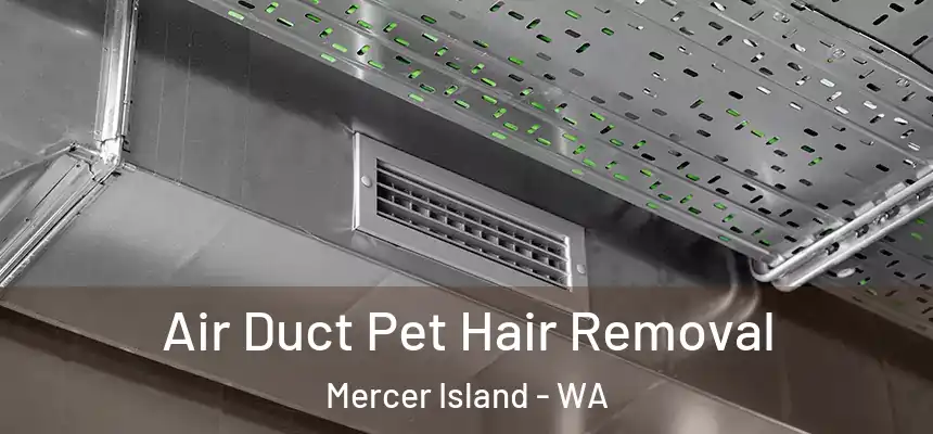 Air Duct Pet Hair Removal Mercer Island - WA