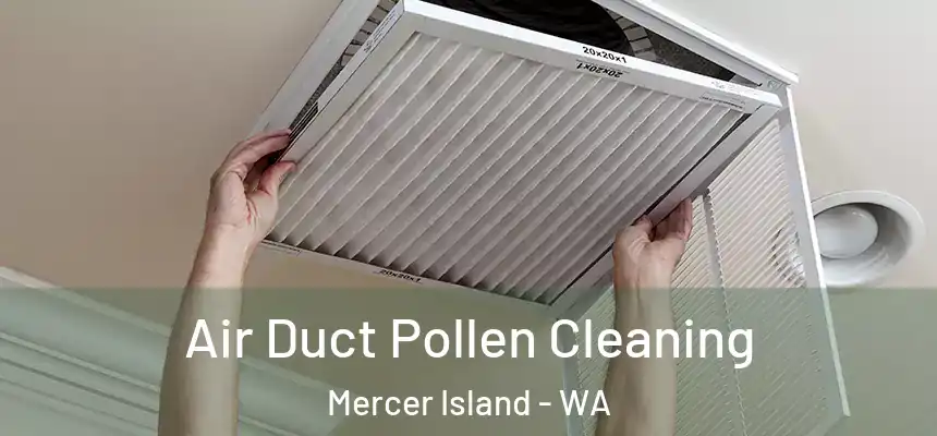 Air Duct Pollen Cleaning Mercer Island - WA
