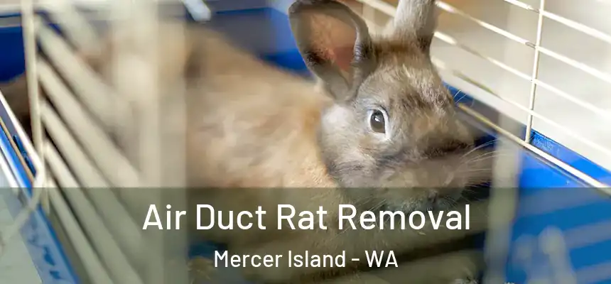  Air Duct Rat Removal Mercer Island - WA