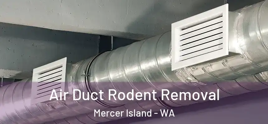 Air Duct Rodent Removal Mercer Island - WA