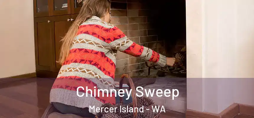 Chimney Sweep Mercer Island - WA