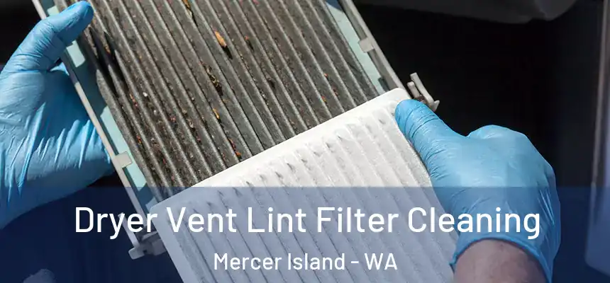 Dryer Vent Lint Filter Cleaning Mercer Island - WA