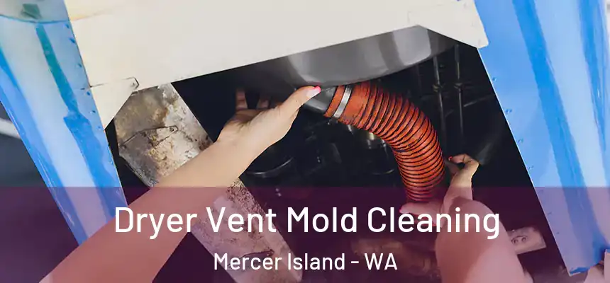 Dryer Vent Mold Cleaning Mercer Island - WA