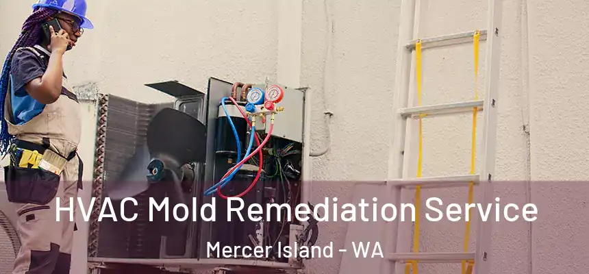  HVAC Mold Remediation Service Mercer Island - WA