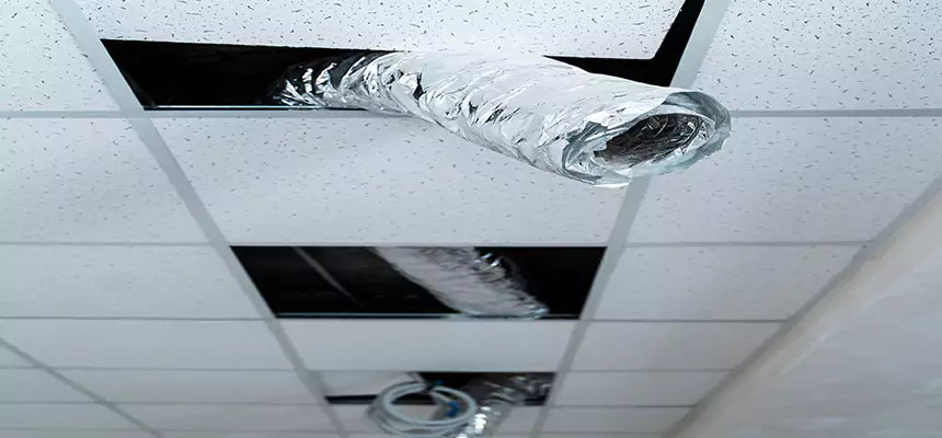 Our Air Duct Pet Hair Removal Services in Mercer Island, WA