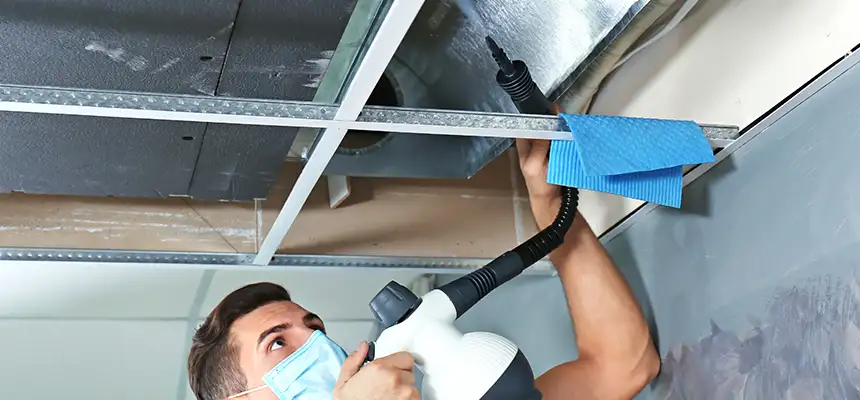 Our Air Duct Rodent Removal Services in Mercer Island, WA