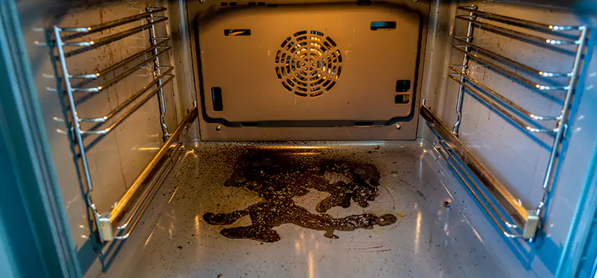 Our Dryer Vent Mold Cleaning Services in Mercer Island, WA