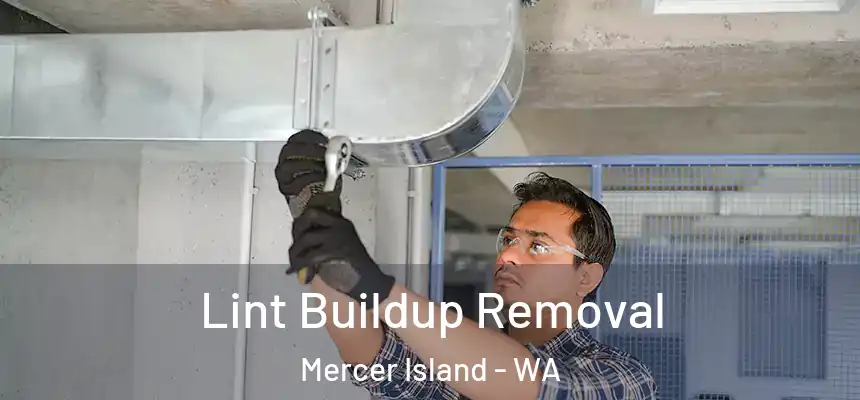 Lint Buildup Removal Mercer Island - WA