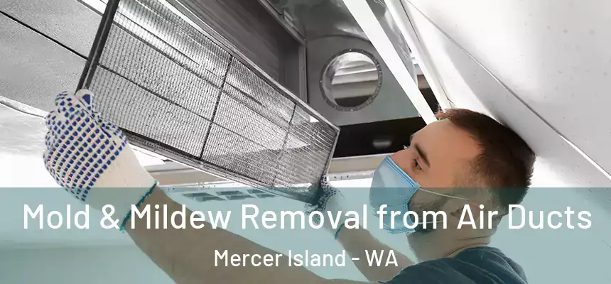 Mold & Mildew Removal from Air Ducts Mercer Island - WA