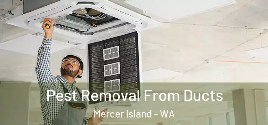  Pest Removal From Ducts Mercer Island - WA