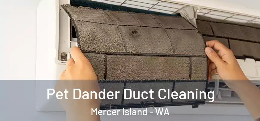 Pet Dander Duct Cleaning Mercer Island - WA