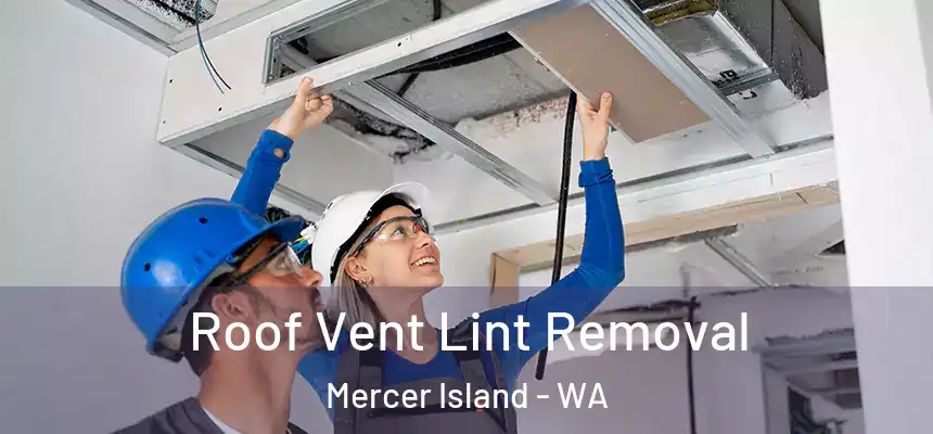 Roof Vent Lint Removal Mercer Island - WA