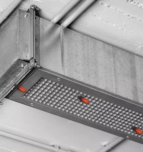 About Air Duct Cockroach Removal in Mercer Island, WA