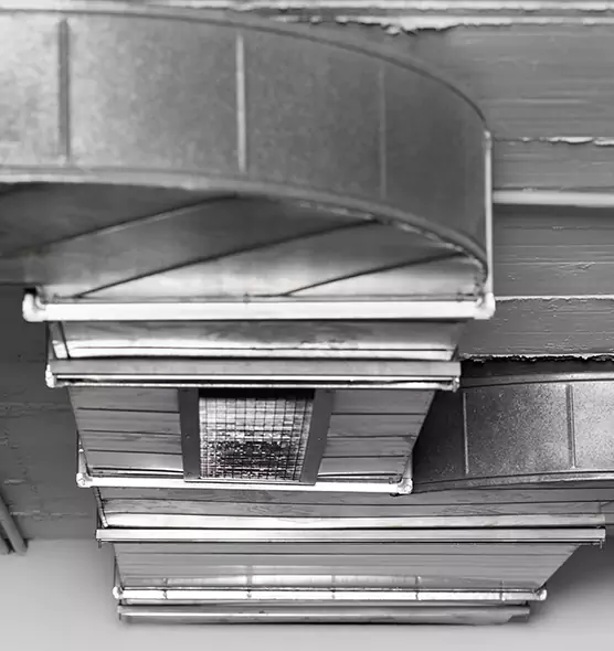 Professional Air Duct Pest Removal in Mercer Island, WA