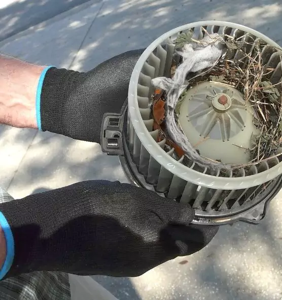 About Air Duct Rat Removal in Mercer Island, WA