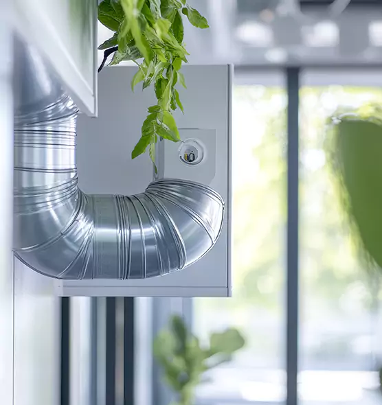 Professional Eco-Friendly Duct Cleaning Services in Mercer Island, WA