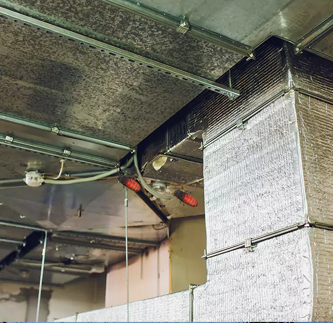 Why Homeowners & Businesses Trust Us in Mercer Island, WA?