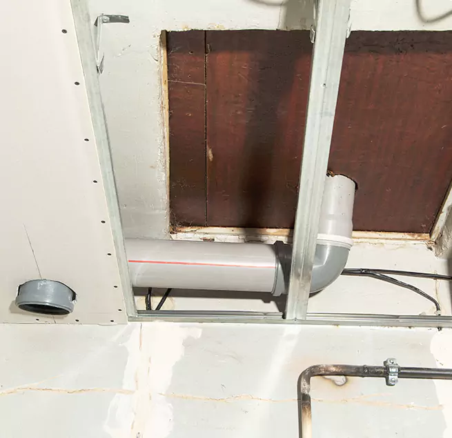 Why Homeowners & Businesses Trust Us in Mercer Island, WA?