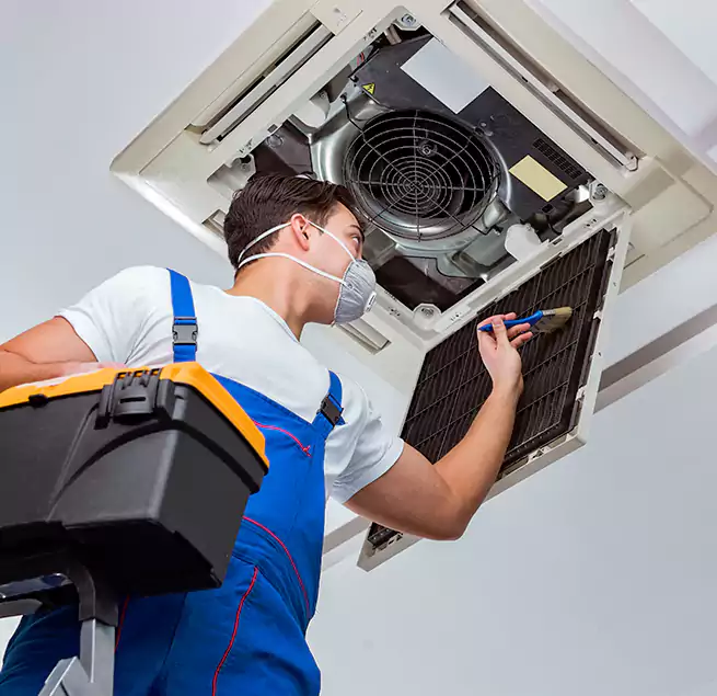 Why Homeowners & Businesses Trust Us in Mercer Island, WA