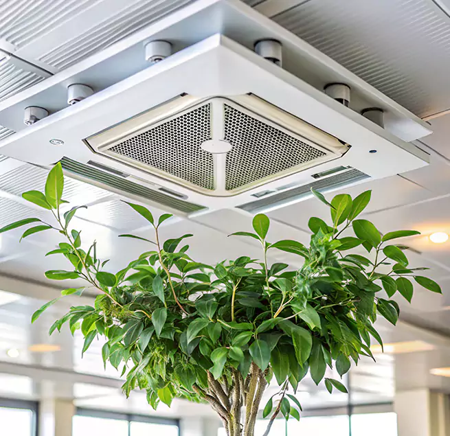 Why Homeowners & Businesses Trust Us in Mercer Island, WA