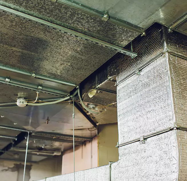 Why Homeowners & Businesses Trust Us in Mercer Island, WA?